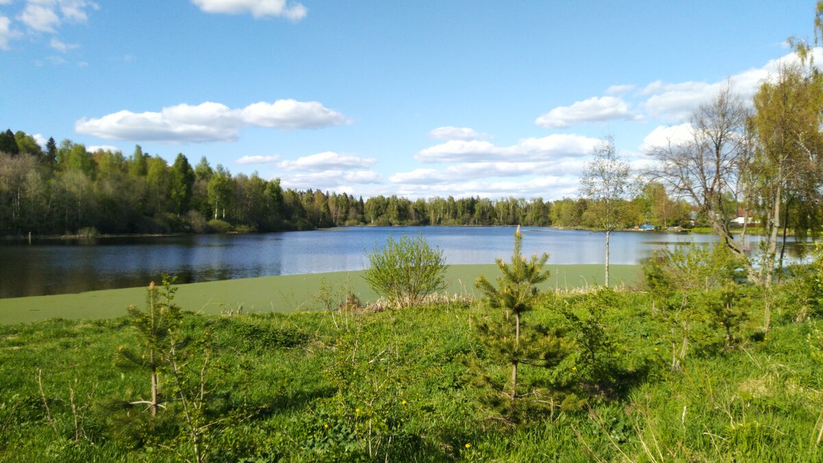 Фото из личного архива. Небольшое водохранилище в 800м от участка