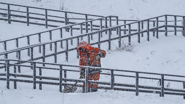 ФОТО: KONSTANTIN KOKOSHKIN/GLOBALLOOKPRESS