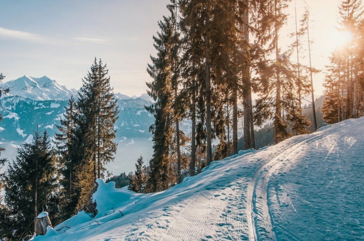    На выходных в Алтайском крае заметно потеплеет