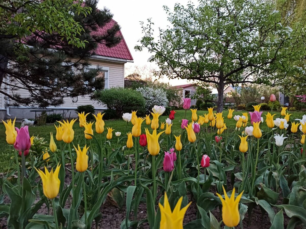 1. Галерея из 3 фото, листайте