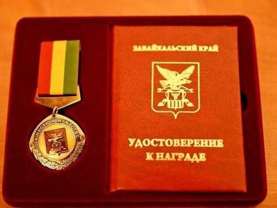     фото из телеграм-канала «Депутат Забайкалья»