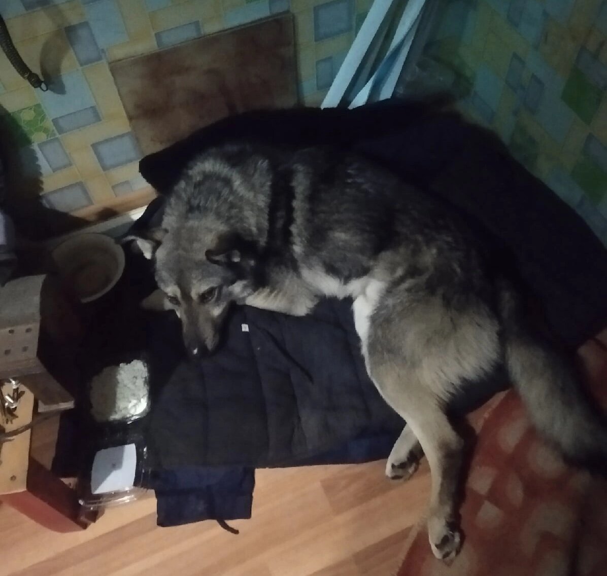 "накормила йогуртами, честно помочь  больше ничем не могу....такси могу  оплатить"