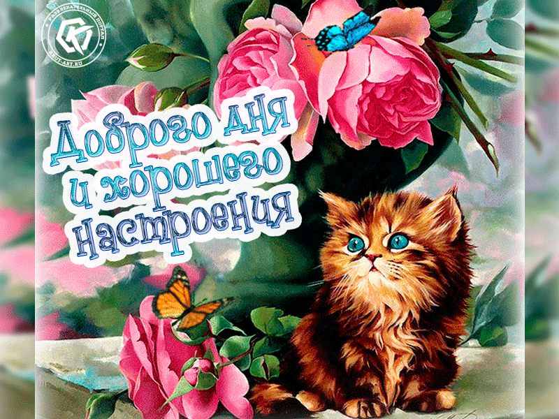На каждый день красивая гиф хорошего доброго дня и настроения. Анимация с котенком, цветами и бабочками