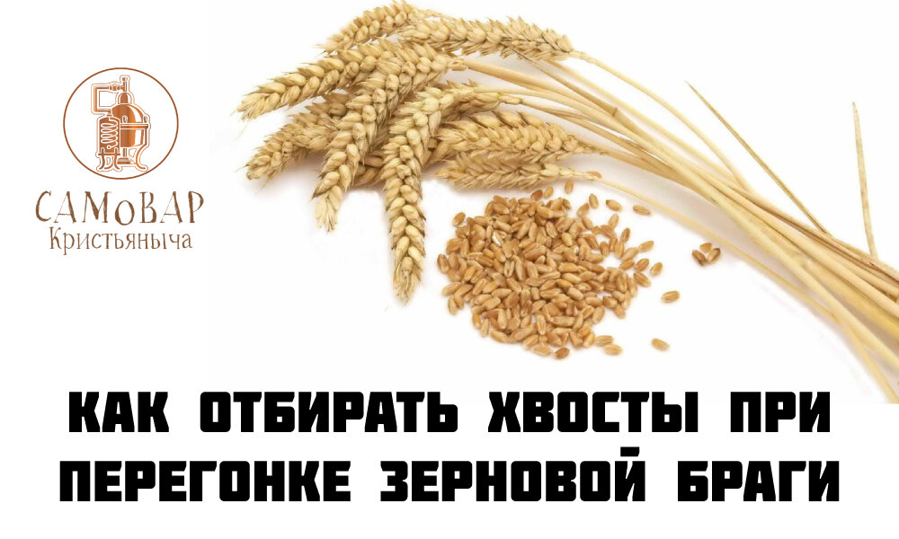 Как перегнать зерновых. Как перегнать зерновых. Как перегнать зерновых. Перегонка по габриэлю зерновой браги. Как перегнать зерновых.