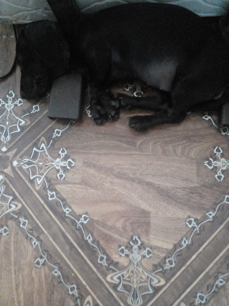 Греется у обогревателя.