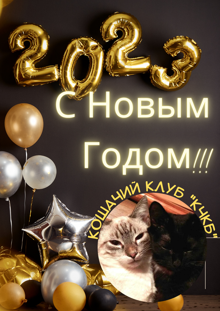 Кот года 2016. С новым годом коты. С новым годом с котами. Год кота 2023. С новым годом 2023 котик.