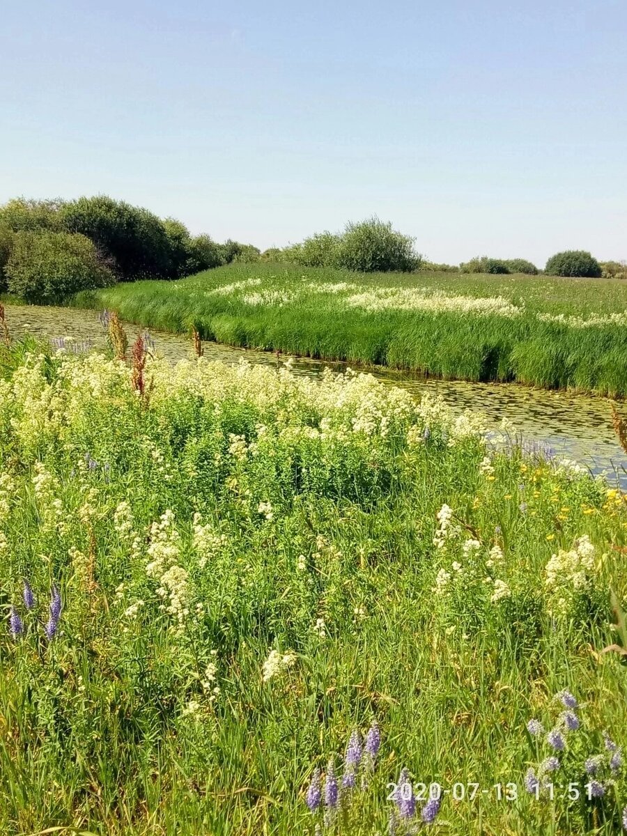 Любимая картина летом, луга, поля и голубое небо!!! 