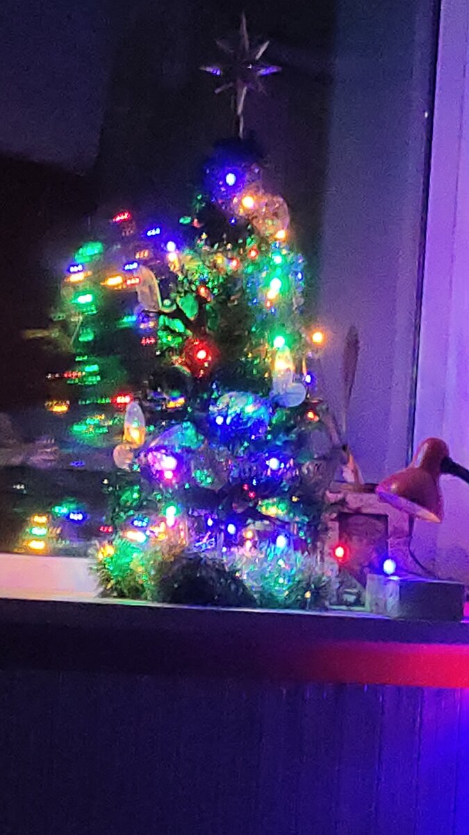 Наша ёлочка, она маленькая - на подоконник ставим