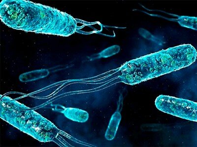    Учёные модифицировали искусственную бактерию и научили её двигаться