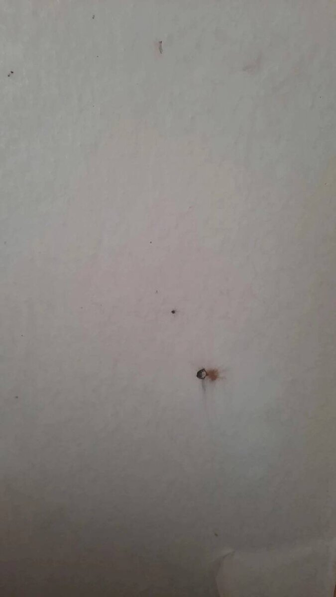    В Унече в новогоднюю ночь в окно влетела опасная пиротехническая ракета Евгений Антюхов