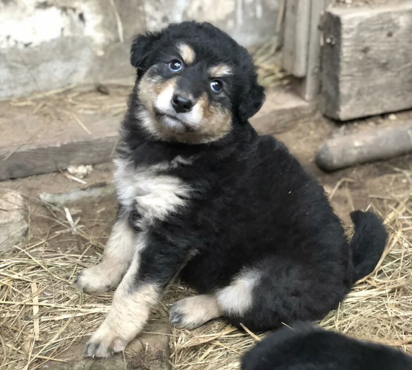 Булочка в детстве