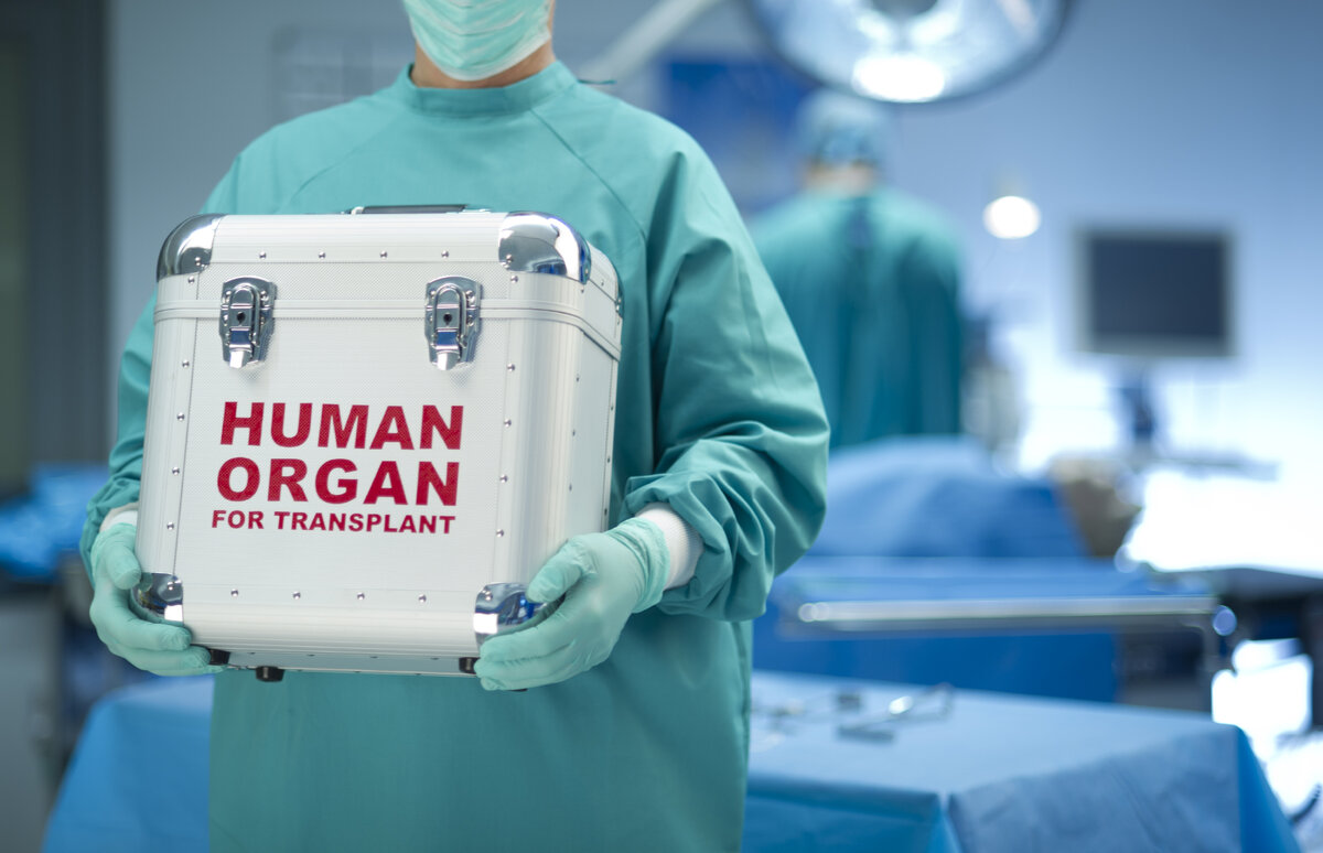Изображение с сайта: https://doctorsemash.com/wp-content/uploads/2017/10/organ-donation.jpg