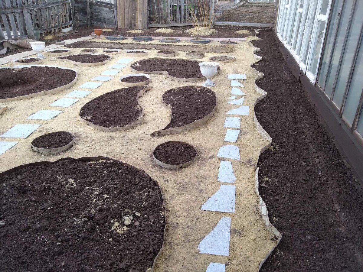 Когда то здесь были грядки с клубникой и разросшиеся кусты не плодоносящей вишни. Участок 11 метров на 5 метров, с запада на восток. С Северной стороны по всей длине теплица. С востока стоит не большой летний домик. Южная и западная стороны открыты, там соседские заборы из сетки - рабицы. Всю вишню выкорчевали, грядки  убрали, выровняли. Я разбила  клумбы разной формы с бордюрами из старого линолеума.  Проложила дорожки из старых плиток для пола., землю засыпала опилками.  Тогда я хотела газон, и территория , засыпанная опилками, была засеяна белым клевером ( кашкой).  Все это было сделано в мае, до посадок. На заднем фоне у забора остались кусты Малины. были положены шины от колес и в них тоже посадила Малину. потом я их покрасила. 