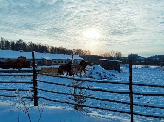     Фото: МК в Туле