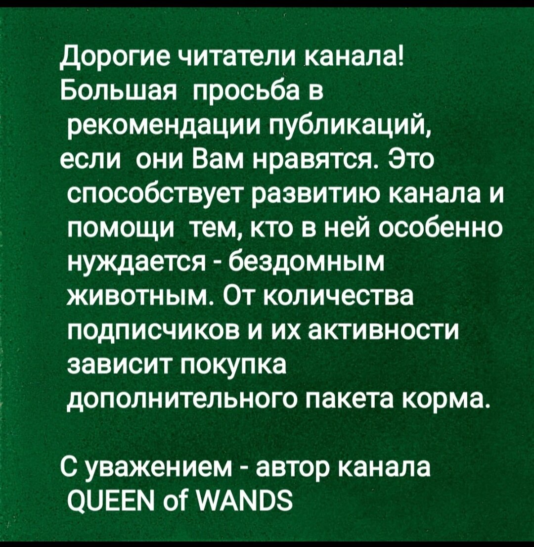 Паровозный гудок | QUEEN of WANDS | Дзен