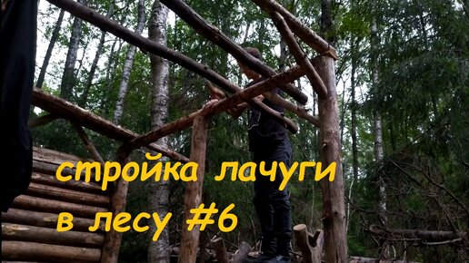 Стройка лачуги в лесу #6. Аномальная жара нарушает все сроки работы. Продолжаю делать стены.