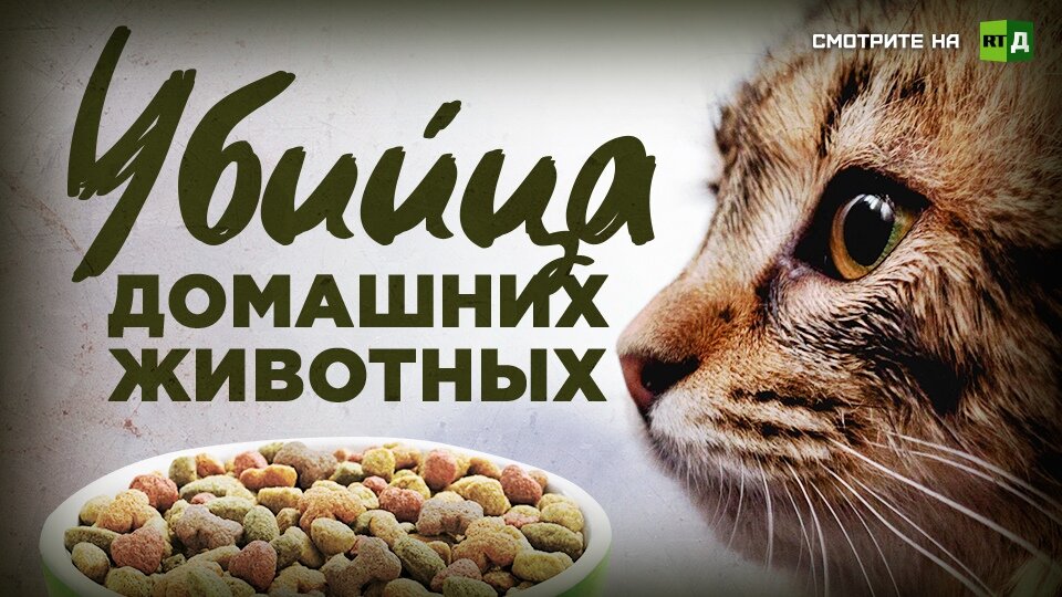 Документальный фильм 2019 года