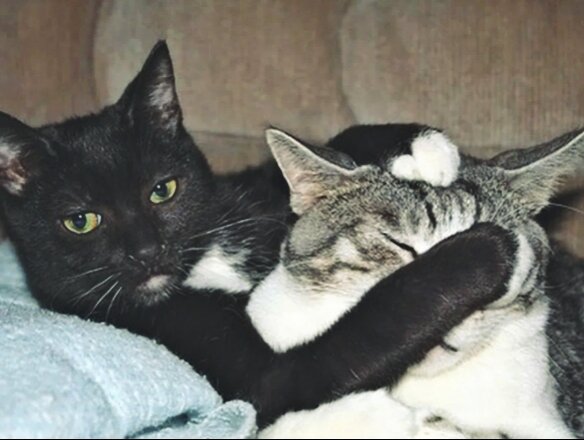 Будешь ещё его гладить?