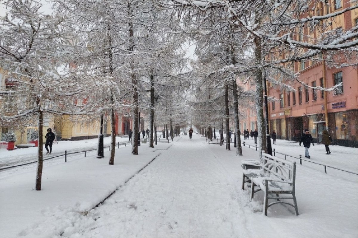    Из-за страшной метели в Петербурге закрыли парки и сады