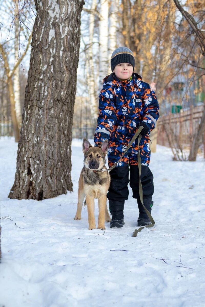 Не у каждого человека должна быть собака, но у каждой собаки должен быть  Свой Человек. | #ИзРукВЛапки | Дзен