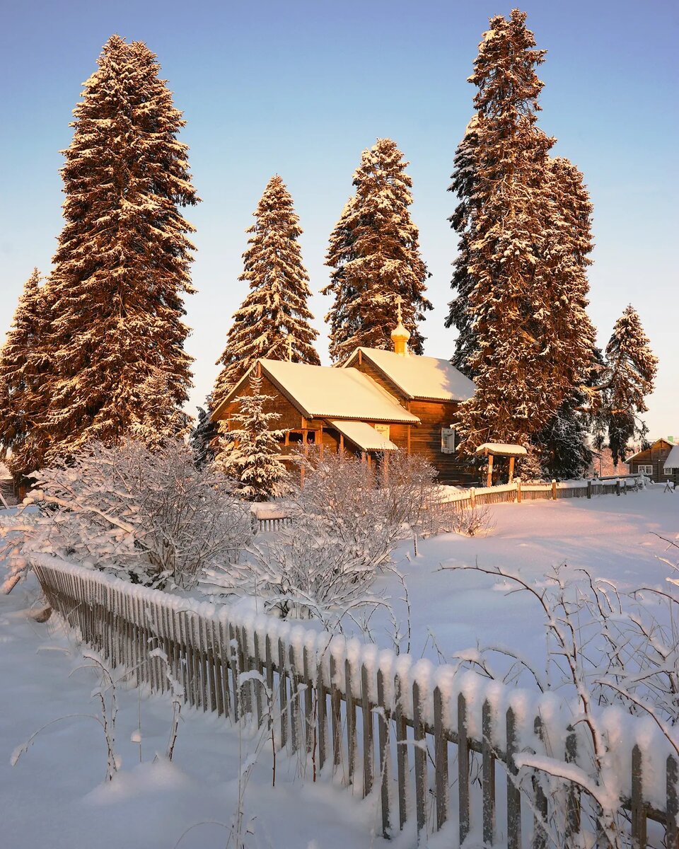 ������ �������