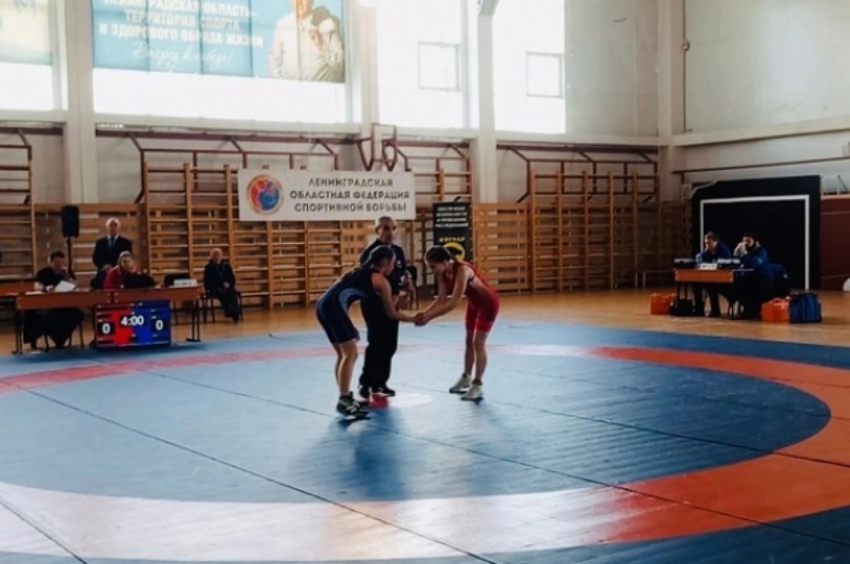    Спортсменки из Кондопоги стали лучшими на первенстве по борьбе в Выборге