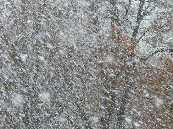     Фото: pixabay.com