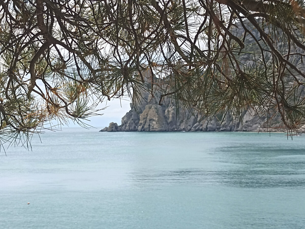 Крым. Новый Свет