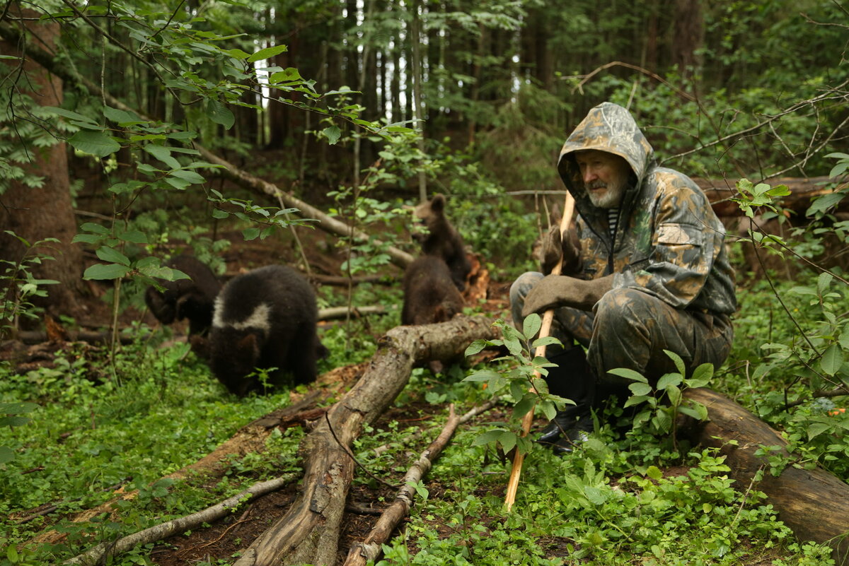 Пажетнов. Пажетнов бурый медведь.