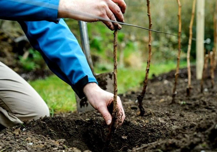 Фотография взята из источника stroy-podskazka.ru 