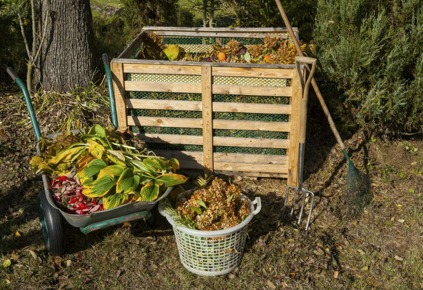 Фотография взята из источника kaksdelatsam.ru