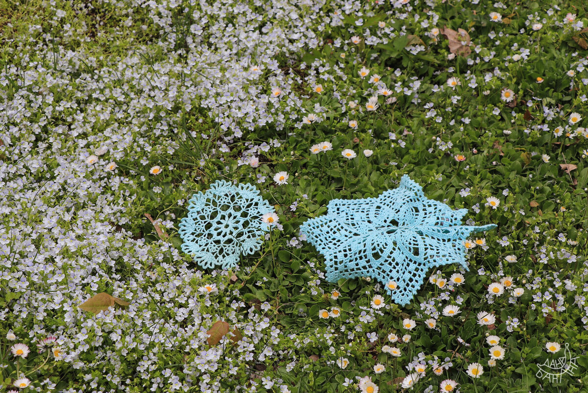 Кружева цветов отлично сочетаются с кружевными салфетками