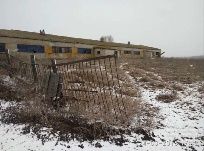    Попутал с кабаном: выяснились жуткие детали убийства фермера Ефремина на кукурузном поле под Навлей avchernov