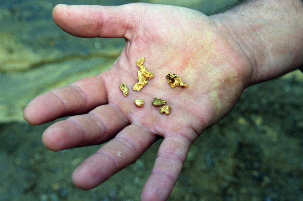    «Всё, что намыл – моё». Власти хотят разрешить добычу золота кому угодно?