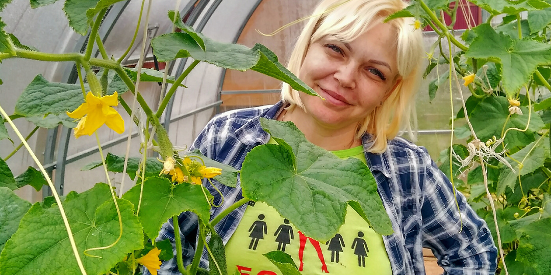 Теплица для дачи. Самое важное, что нужно знать.