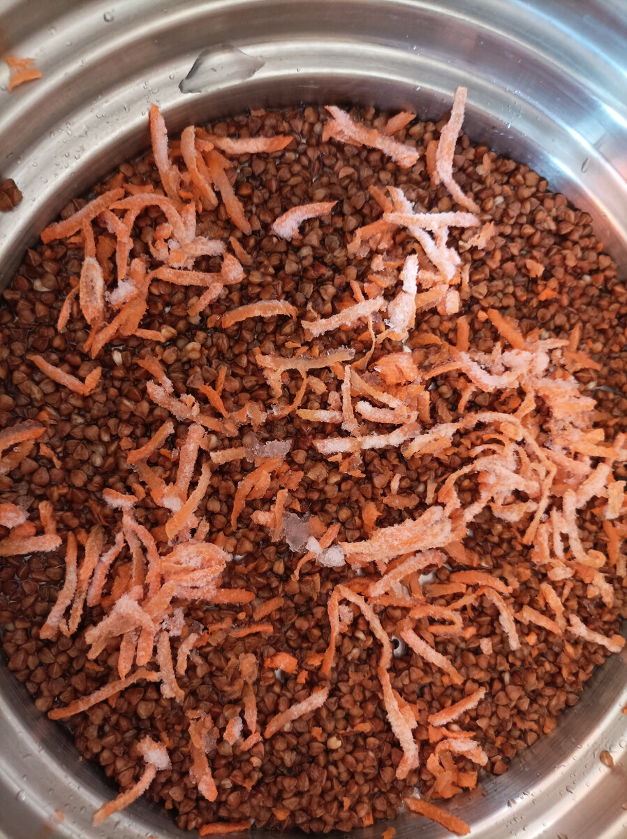 К гречке присоединилась замёрзшая морковь. Кажется ей очень холодно. Но она нашла отличное место, чтобы согреться... 