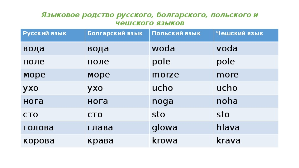 Польский язык родственные языки. Польский язык родственные языки. Мать на индоевропейских языках. Одинаковые слова в славянских языках. Правила польского языка.