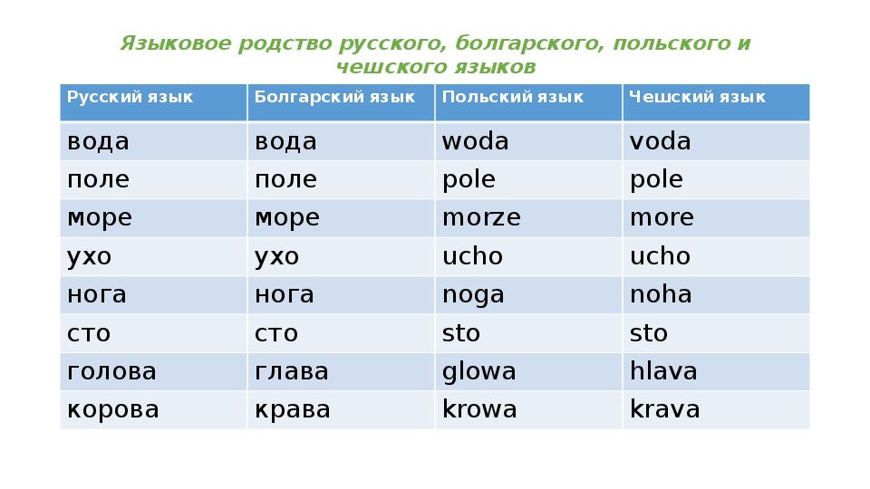 Слово паси. Сходство славянских языков. Таблица сравнения славянских языков. Таблица схожести славянских языков. Схожие слова в славянских языках.