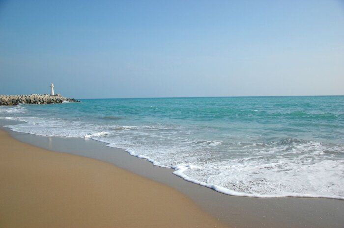 Источник фото: turkmenportal.com 