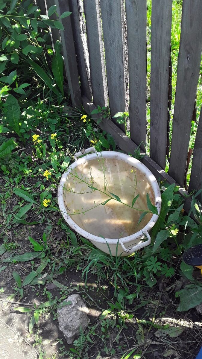 Хоть из тазика обливайся!😁