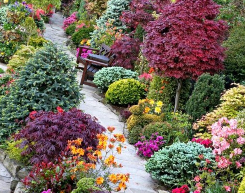 Растения в саду