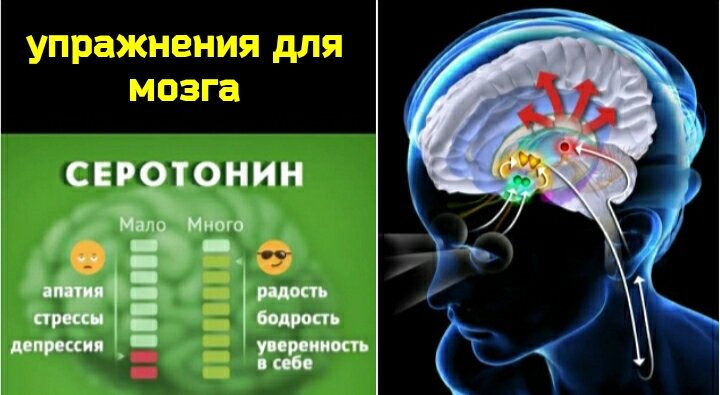 Brain 125. Гормоны и мозг связь. Утомляемость мозга продукты. Тревожное расстройство и серотонин. Перенастройте свой тревожный мозг.