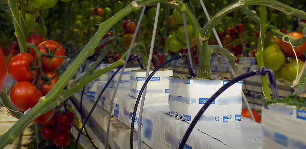 Минераловатный субстрат и кубик 