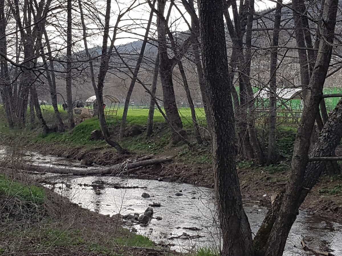 Живописное крымское село в горах. О работе, воде, транспорте, газе  рассказывают всю правду местные жители. | Добрый Крым. | Дзен