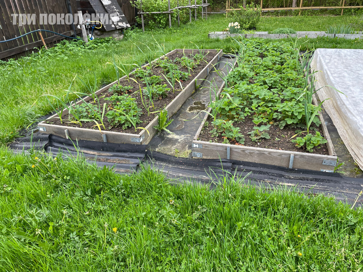 Добавьте описание