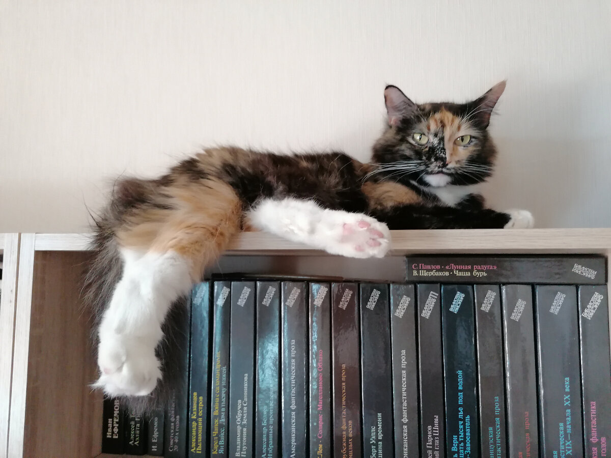 Критично настроенная Бася