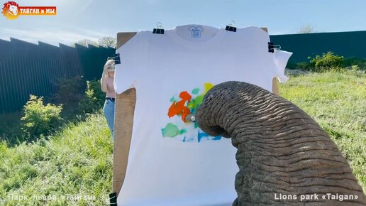 СЛОН РИСУЕТ - художница Дженни! Самые ТАЛАНТЛИВЫЕ СЛОНЫ! Тайган. Elephant draws in Taigan.