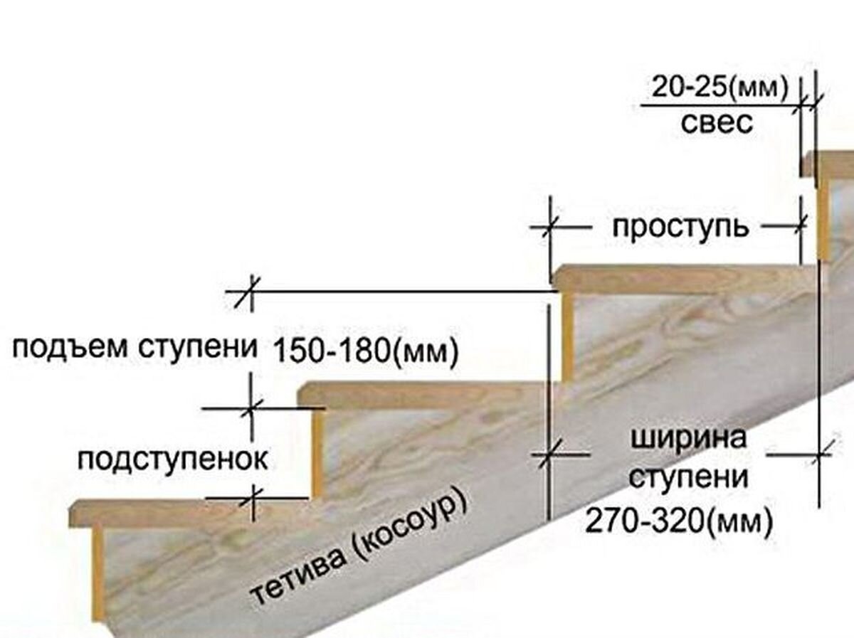 Ширина ступени лестницы