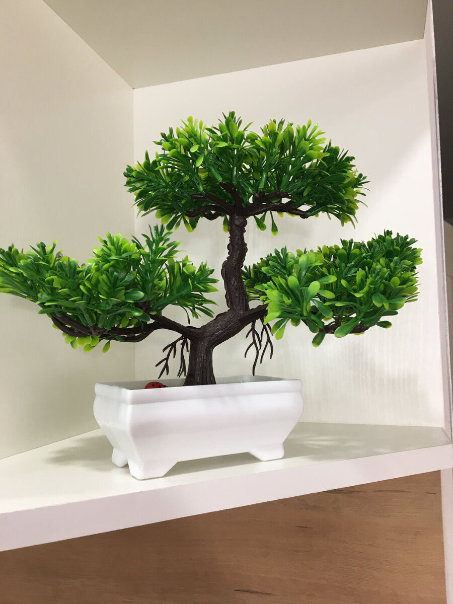 Реальное фото автора канала. ЛИСТАЙ--