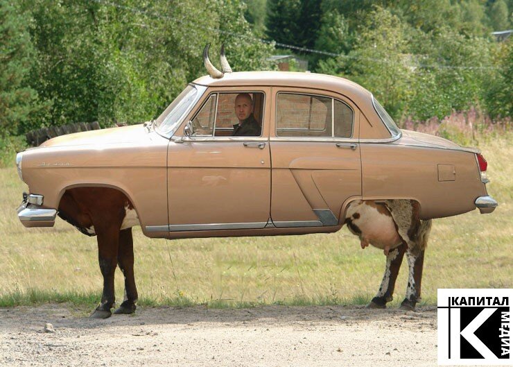 Внешность бывает изменчива.